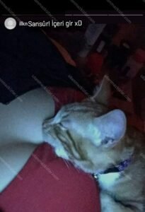 Sevgilimin eski mazisi aldatmasaydi atmazdım.